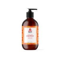 CHAMPÚ ANTICAIDA HAIR CARE BELMA KOSMETIK 300 ML