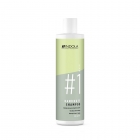 CHAMPÚ ANTICASPA INNOVA INDOLA 300 ML